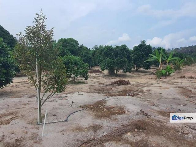 Shop for sale in Mantin, Negeri Sembilan