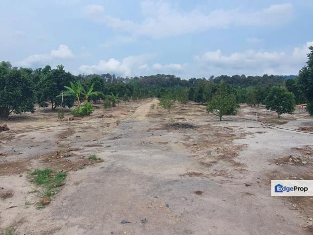 Warehouse for sale in Mantin, Negeri Sembilan