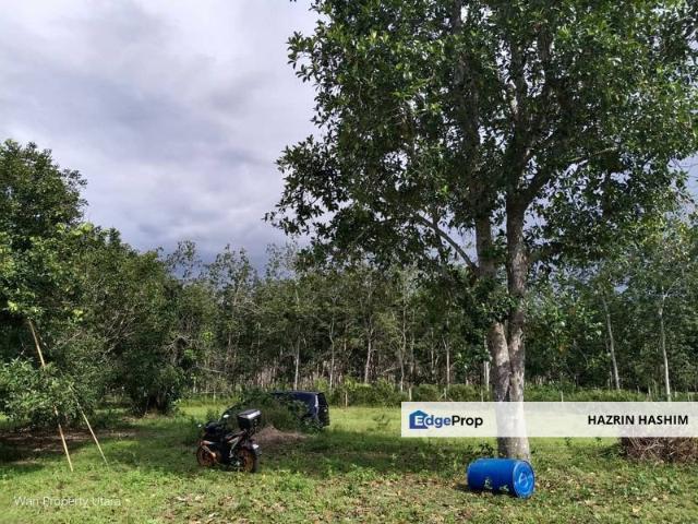 House for sale in Kedah