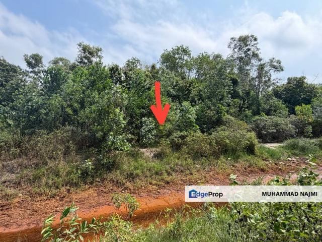 House for sale in Tringganu