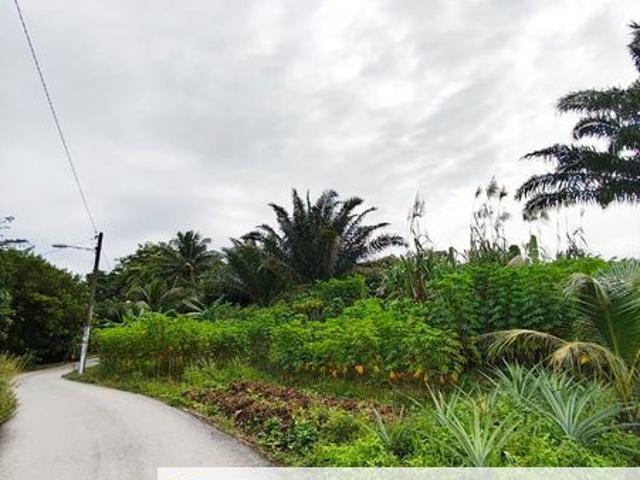 House for sale in Wellesley, Penang