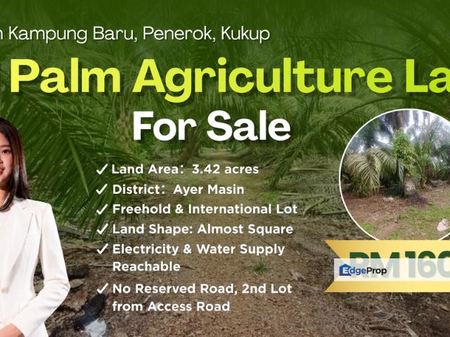 Warehouse for sale in Kukup, Johor