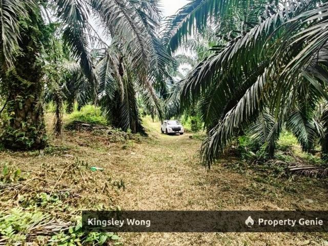 Property for sale in Kampung Baru Liman Kati, Kuala Kangsar