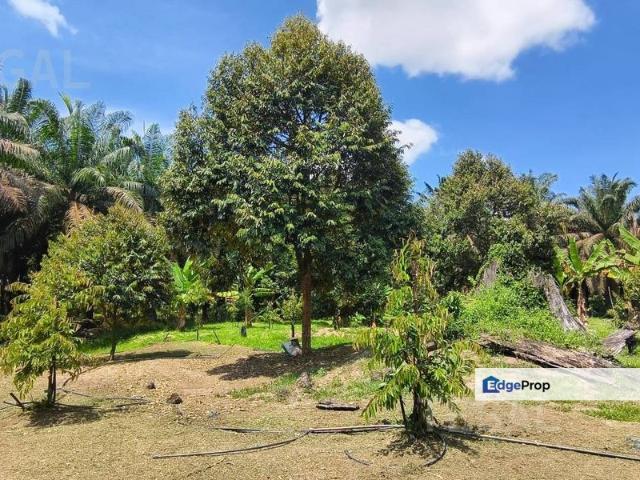 Shop for sale in Pahang