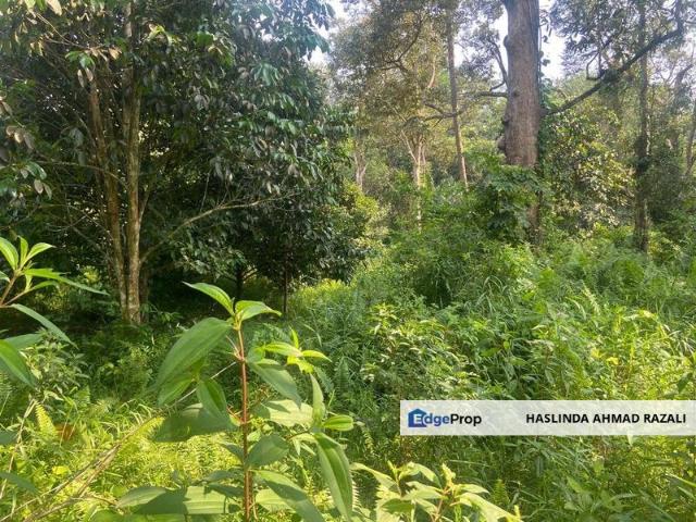 Shop for sale in Kajang, Langat
