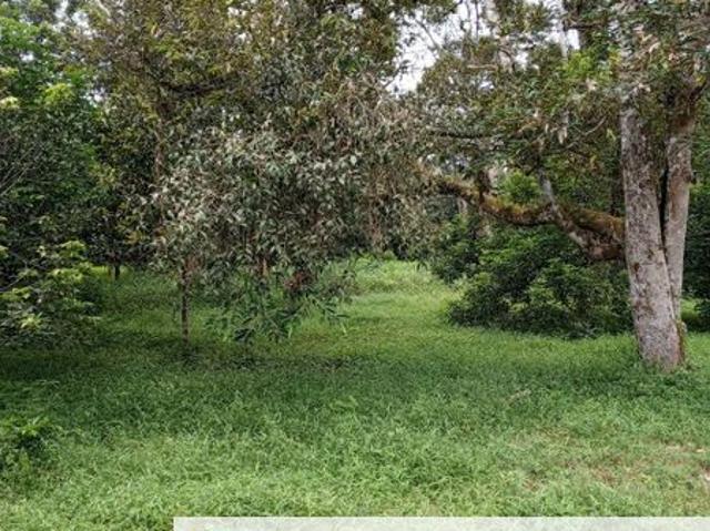 House for sale in Kajang, Langat