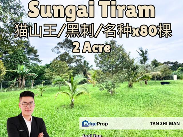 House for sale in Johor