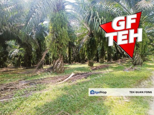 House for sale in Wellesley, Penang