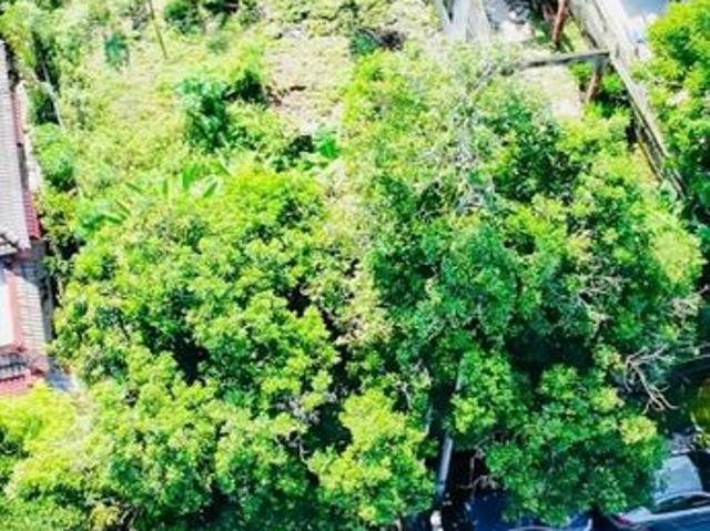 House for sale in Langat, Selangor