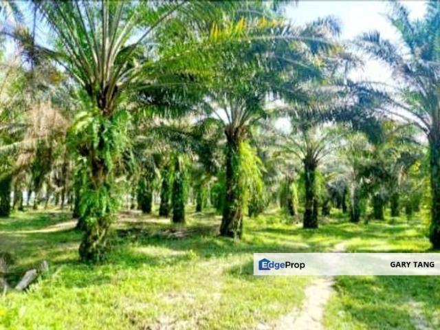 Shop for sale in Perak, Tronoh