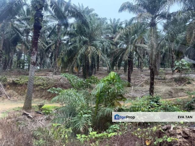 House for sale in Kulai