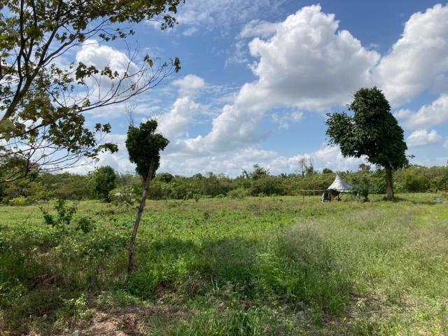 Property for sale in Bukit Ledang, Johor