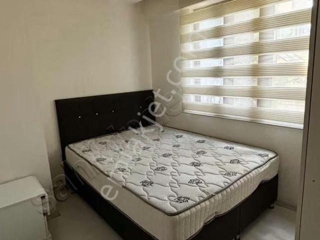 Denizli içerisinde kiralık mülk