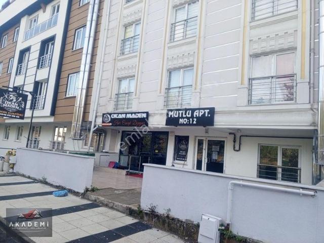 Kuzeykent Mahallesi, Kastamonu Merkez içerisinde kiralık mülk