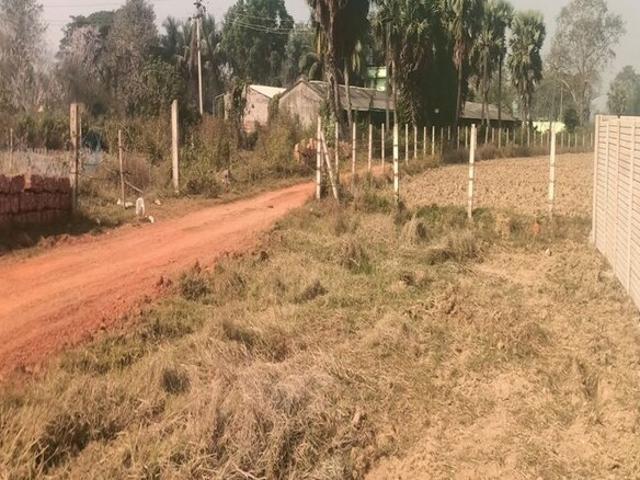 Land for sale in Lakhana, Arunachal Pradesh
