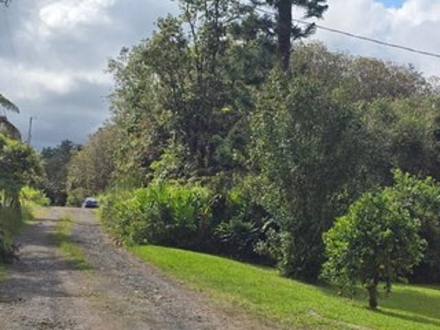 Land for sale in Mountain View, Hawaii