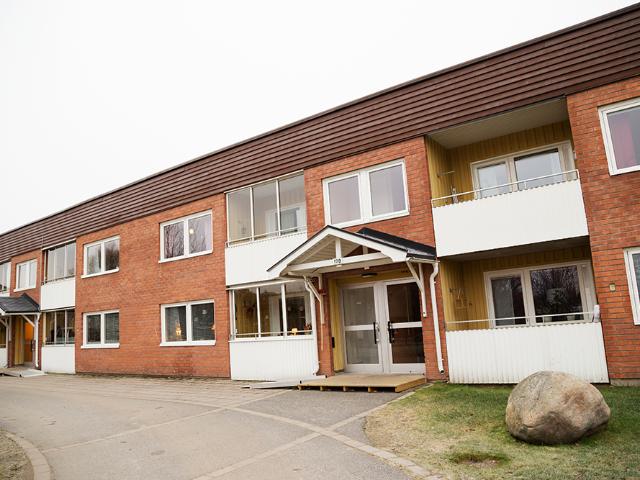 Lägenhet hyra i Norrbotten