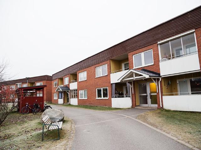 Lägenhet hyra i Norrbotten