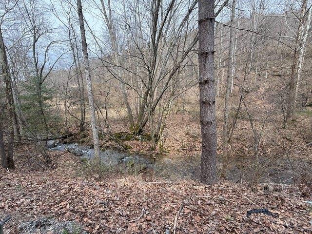 Land for sale in Sutton, West Virginia