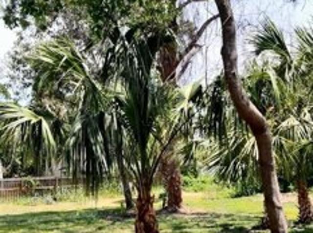 Land for sale in Cocoa