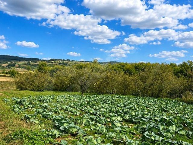 Kandira, Kocaeli içerisinde satılık Arsa