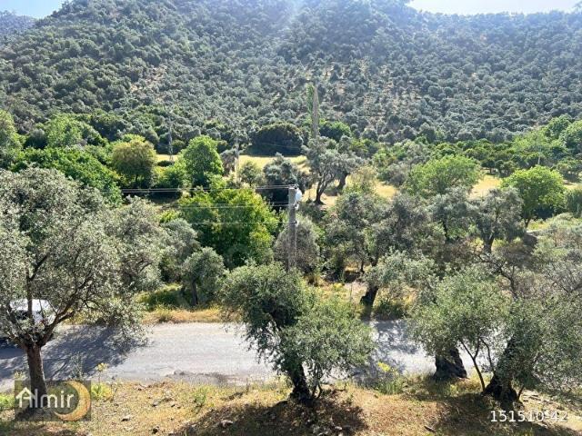Milas, Muğla içerisinde satılık mülk