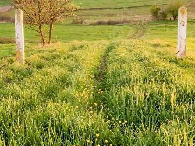 İzmit, Kocaeli içerisinde satılık Arsa