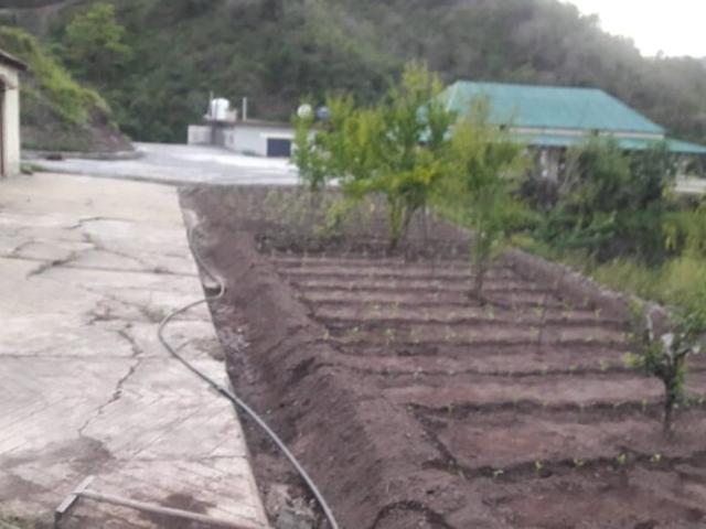 Villa for sale in Salana, Himachal Pradesh