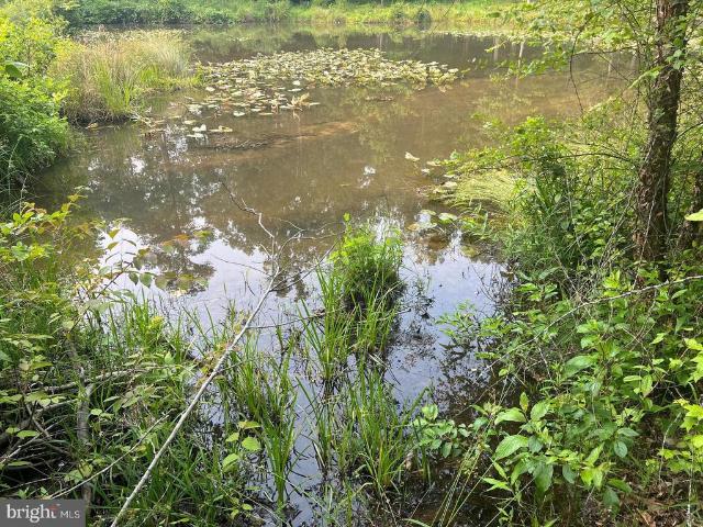 Land for sale in Mineral, Louisa County