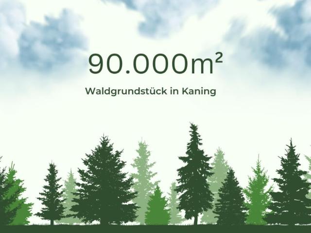 Grundstück kaufen in Radenthein, Kärnten