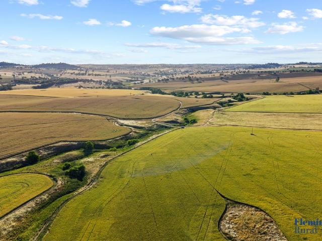 Cottage for sale in Harden, New South Wales