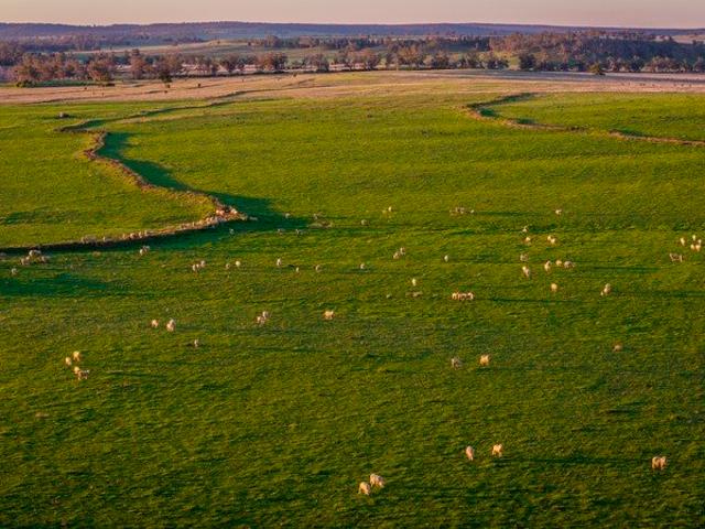 Cottage for sale in Coolabah, New South Wales