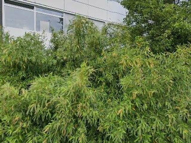 Bedrijfspand te huur in Noord, Amsterdam