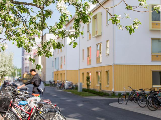 Lägenhet hyra i Uppsala