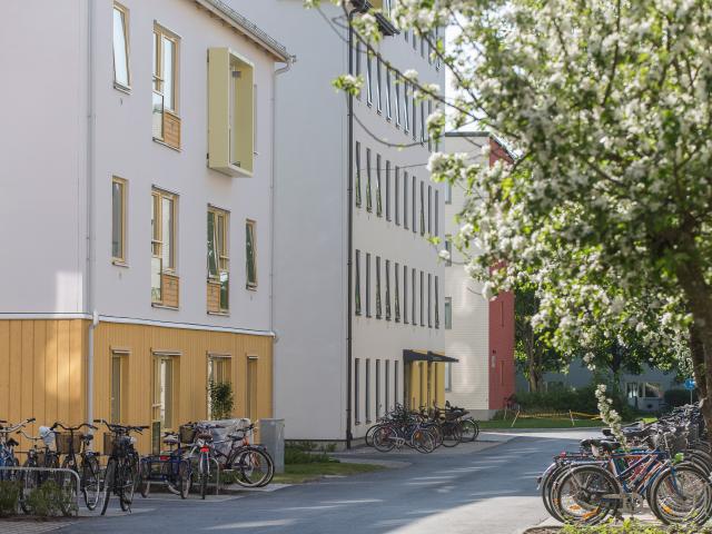 Lägenhet hyra i Uppsala