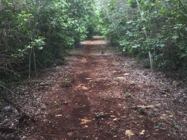 Rancho en venta en Kantunil, Yucatán