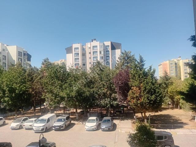 Tekirdağ içerisinde kiralık mülk