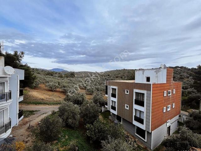 Torbali, İzmir içerisinde satılık mülk