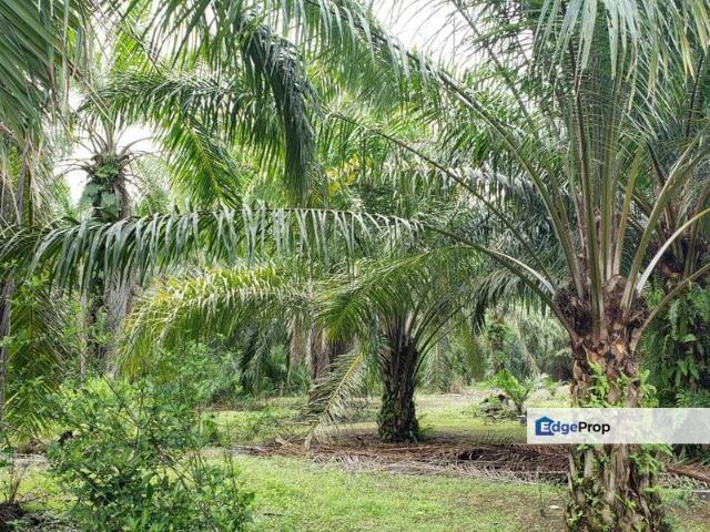 House for sale in Port Klang, Selangor