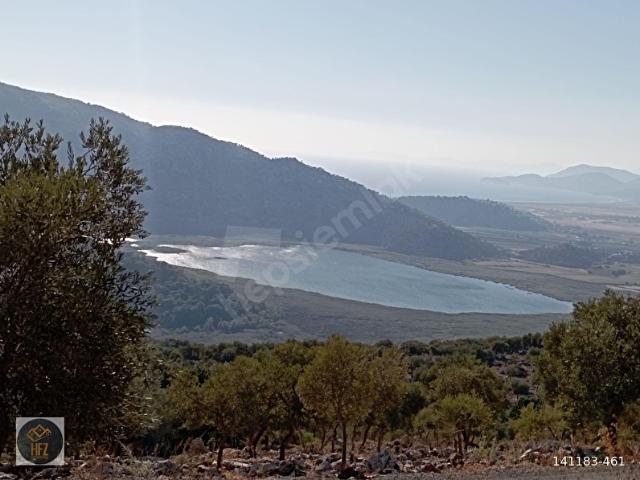 Dalaman, Muğla içerisinde satılık Arsa