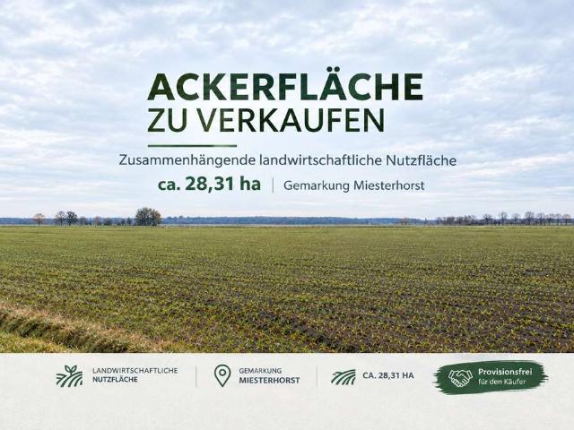Erdgeschosswohnung kaufen in Miesterhorst, Gardelegen