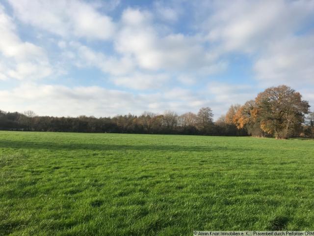 Landwirtschaft kaufen in Nordmoslesfehn, Oldenburg