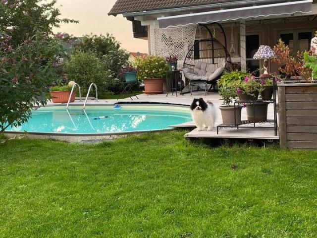 Haus kaufen in Bad Salzungen, Thüringen