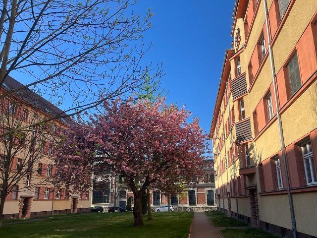 Wohnung kaufen in Gohlis-Mitte, Leipzig