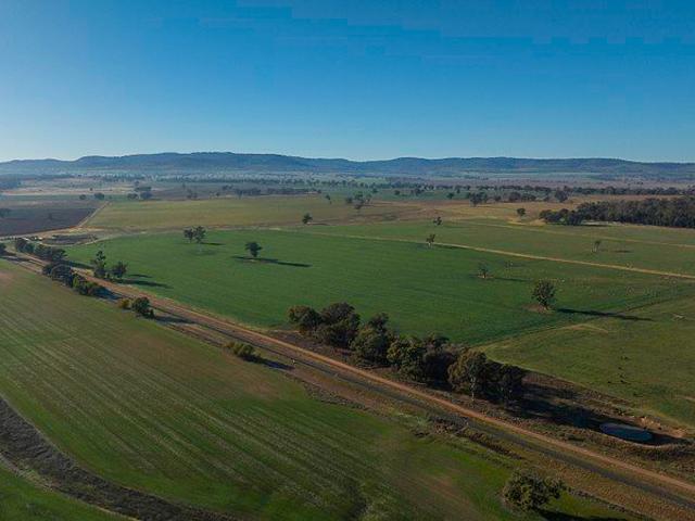 Cottage for sale in Binnaway, New South Wales