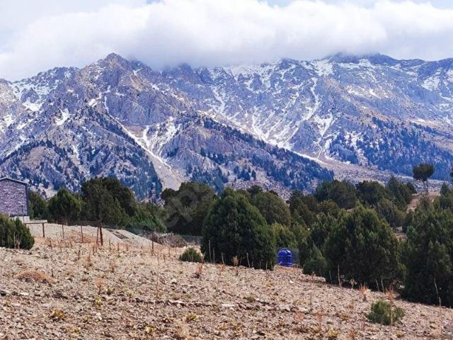 Aşçıbekirli, Pozantı içerisinde satılık Arsa