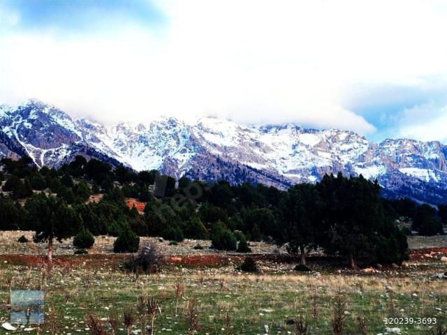 Aşçıbekirli, Pozantı içerisinde satılık Arsa