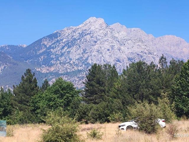 Pozanti, Adana içerisinde satılık Arsa