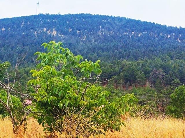 Pozanti, Adana içerisinde satılık Arsa