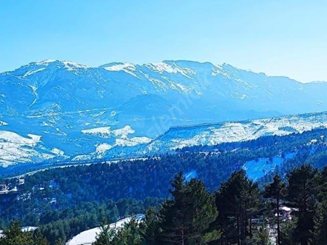 Yeni Konacık, Pozantı içerisinde satılık Arsa